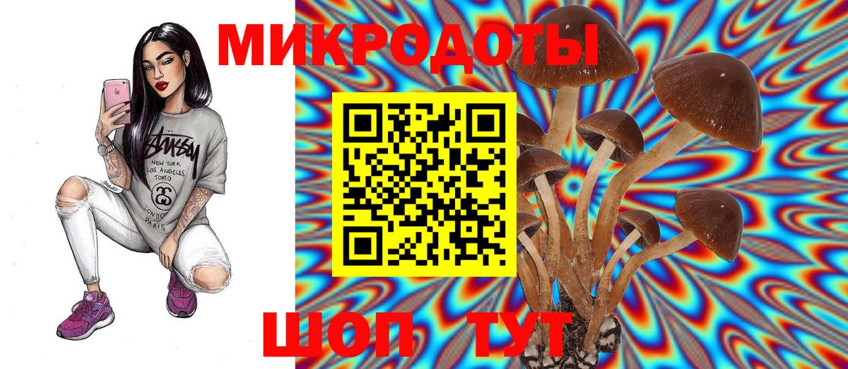 Галлюциногенные грибы MAGIC MUSHROOMS Трёхгорный